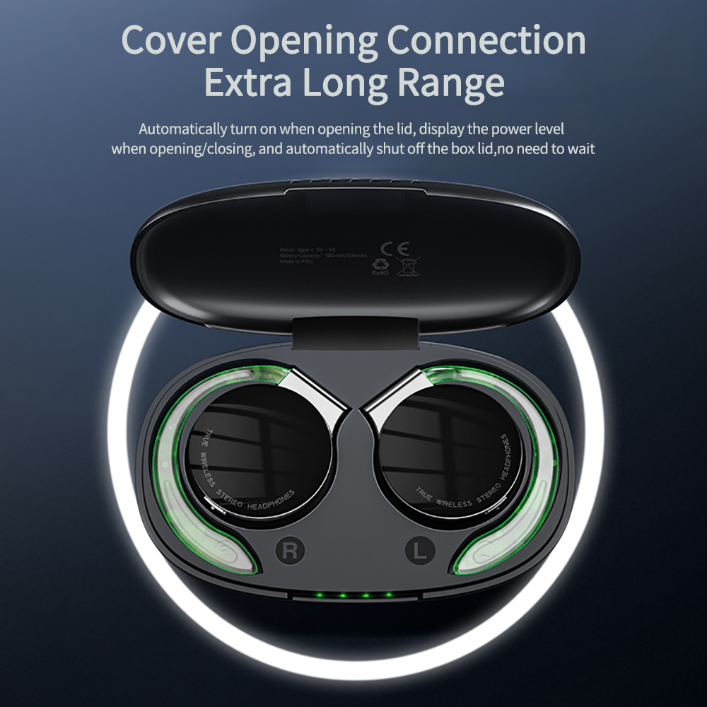 F2 TWS Earphones With Micropho - đánh giá và giá Sports Earphone Hook